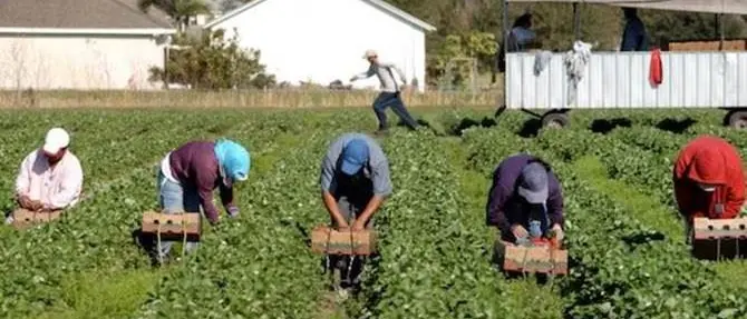 Lotta al caporalato, perquisizioni nel Reggino