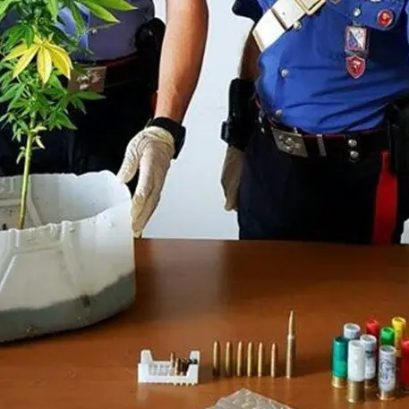 Catanzaro, furti seriali nelle ore di permesso: arrestata una donna