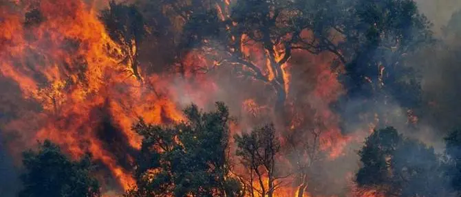 Incendi, situazione critica nel Reggino. Istituita unità di crisi