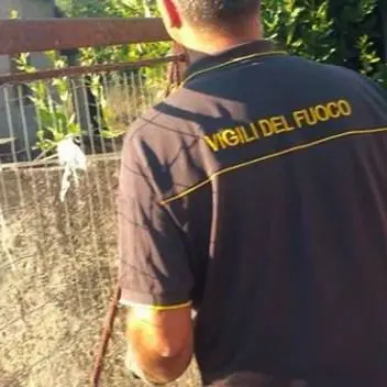 Emergenza incendi anche nel Crotonese, provvidenziale intervento vdf