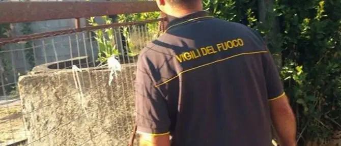 Emergenza incendi anche nel Crotonese, provvidenziale intervento vdf