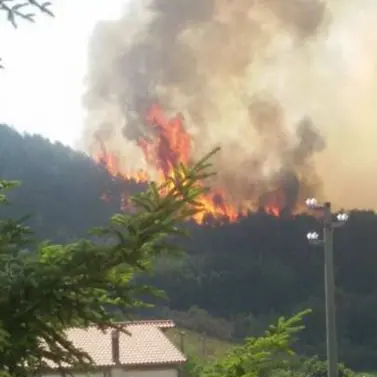 Vasto incendio a Papasidero. Minacciate alcune abitazioni