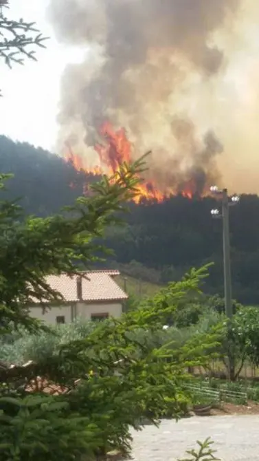 Vasto incendio a Papasidero. Minacciate alcune abitazioni