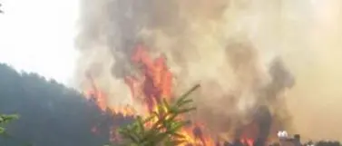 Vasto incendio a Papasidero. Minacciate alcune abitazioni