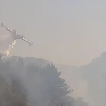 Vasto incendio a Taverna, minacciate abitazioni