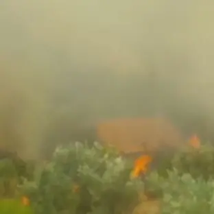 Il fuoco aggredisce Pianette di Rovito, popolazioni nel panico (VIDEO)