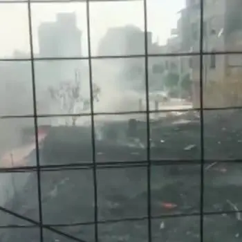 Reggio Calabria, fiamme a ridosso delle case popolari mai ultimate (VIDEO)