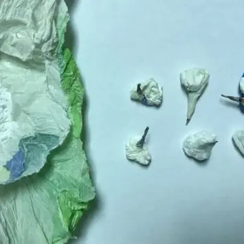 Cocaina in auto pronta per lo spaccio, arrestato dai carabinieri