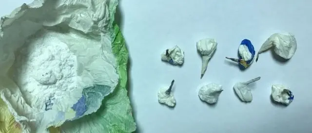 Cocaina in auto pronta per lo spaccio, arrestato dai carabinieri