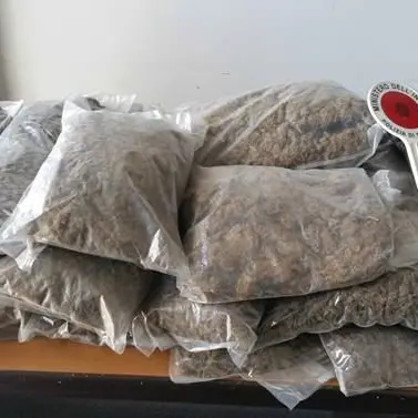 Bianco, in un campeggio dismesso 35 chili di marijuana