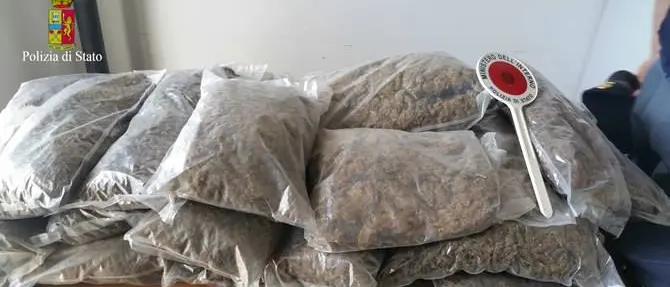 Bianco, in un campeggio dismesso 35 chili di marijuana