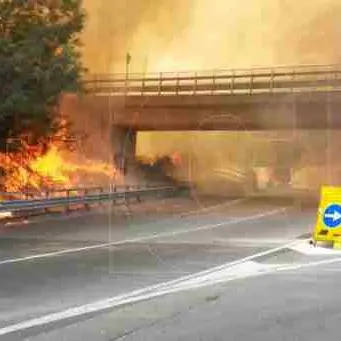 Incendio a Catanzaro, fiamme sulla carreggiata della Tangenziale ovest