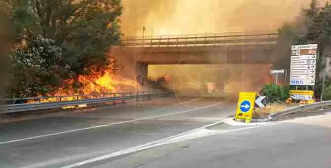 Incendio a Catanzaro, fiamme sulla carreggiata della Tangenziale ovest