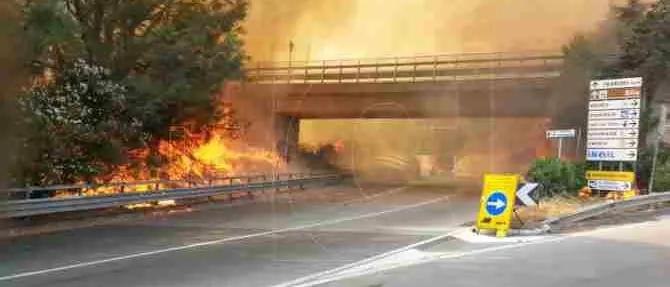 Incendio a Catanzaro, fiamme sulla carreggiata della Tangenziale ovest