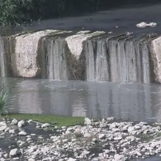 Inquinamento del torrente Annea a Montalto, le precisazioni di Caracciolo