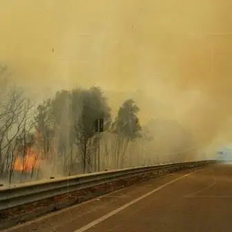Catanzaro, incendio nell'area circostante via Lombardi. Disagi alla circolazione