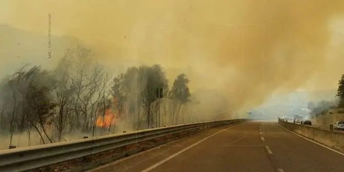 Catanzaro, incendio nell'area circostante via Lombardi. Disagi alla circolazione