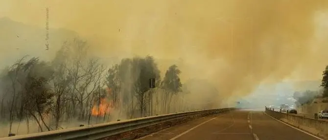 Catanzaro, incendio nell'area circostante via Lombardi. Disagi alla circolazione