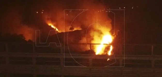 Catanzaro, ancora fiamme al parco della biodiversità (FOTO)