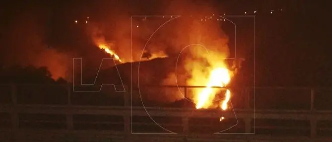 Catanzaro, ancora fiamme al parco della biodiversità (FOTO)