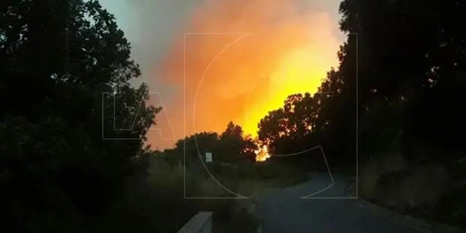 Incendio nel Catanzarese, fiamme lambiscono abitazioni