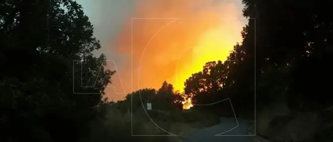 Incendio nel Catanzarese, fiamme lambiscono abitazioni