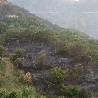 Catanzaro, 50 ettari di macchia mediterranea in fumo a Petrizzi (Foto)