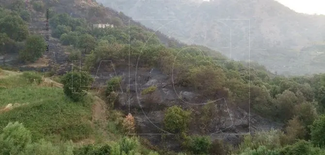 Catanzaro, 50 ettari di macchia mediterranea in fumo a Petrizzi (Foto)