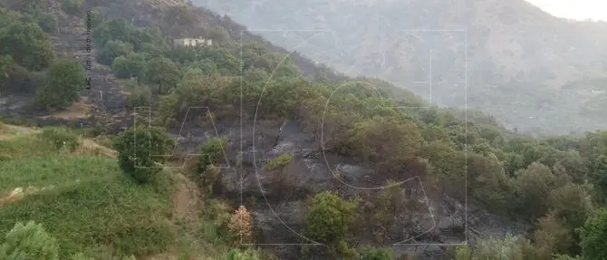 Catanzaro, 50 ettari di macchia mediterranea in fumo a Petrizzi (Foto)