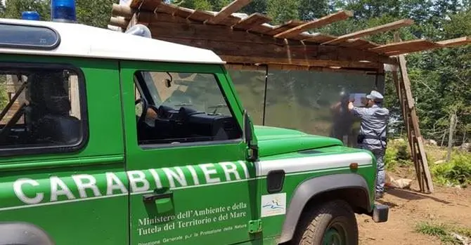 Soppresso un bosco per far posto a ortaggi e legumi: sequestrata area a Sinopoli