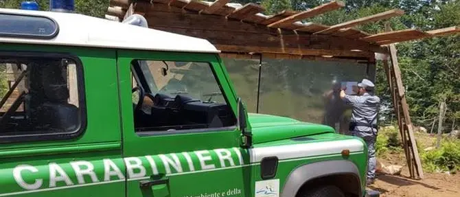 Soppresso un bosco per far posto a ortaggi e legumi: sequestrata area a Sinopoli