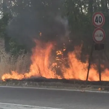 Emergenza incendi, nel Cosentino famiglie costrette ad abbandonare le loro abitazioni