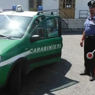 Carenze igieniche nella produzione di formaggi, due allevatori denunciati