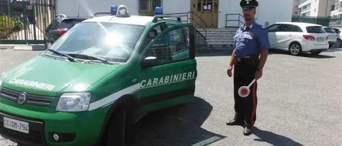 Carenze igieniche nella produzione di formaggi, due allevatori denunciati