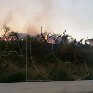 Catanzaro, emergenza incendi: un rogo scoppia a viale De Filippis (FOTO e VIDEO)