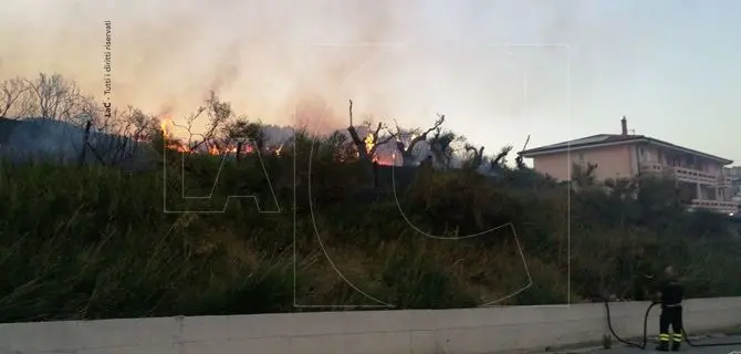 Catanzaro, emergenza incendi: un rogo scoppia a viale De Filippis (FOTO e VIDEO)