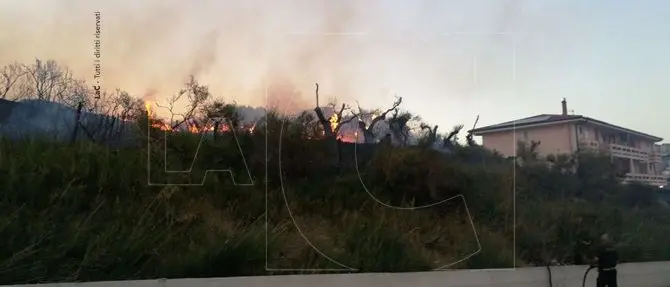 Catanzaro, emergenza incendi: un rogo scoppia a viale De Filippis (FOTO e VIDEO)