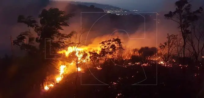 Catanzaro, emergenza incendi: roghi nel quartiere Barone e a Ianò (Foto)