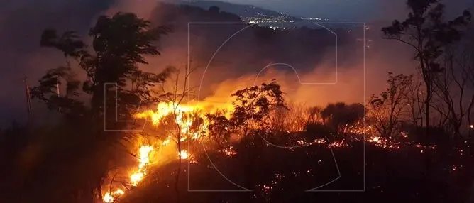 Catanzaro, emergenza incendi: roghi nel quartiere Barone e a Ianò (Foto)