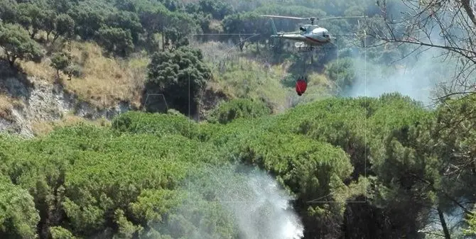 Catanzaro, fiamme alte nella pineta di Siano