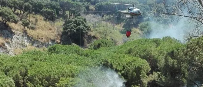 Catanzaro, fiamme alte nella pineta di Siano