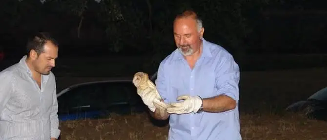 Montalto Uffugo, liberati rapaci curati dal Cras