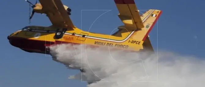 Catanzaro, incendio a Pentone: distrutti ettari di macchia mediterranea (VIDEO)