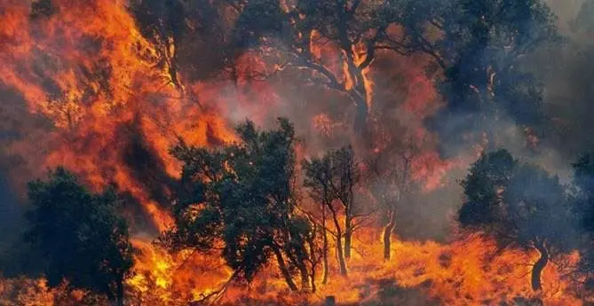 Ancora fiamme nel Cosentino, incendi in diverse zone della Provincia