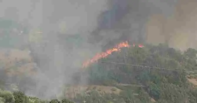 Drammatico incendio a Rose, abitazioni a rischio. Evacuate dieci famiglie