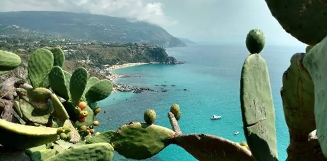 Ferita da un gommone a Capo Vaticano, interviene l’elisoccorso