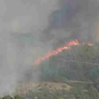Rose devastata dagli incendi, il sindaco: «C’è una regia criminosa»