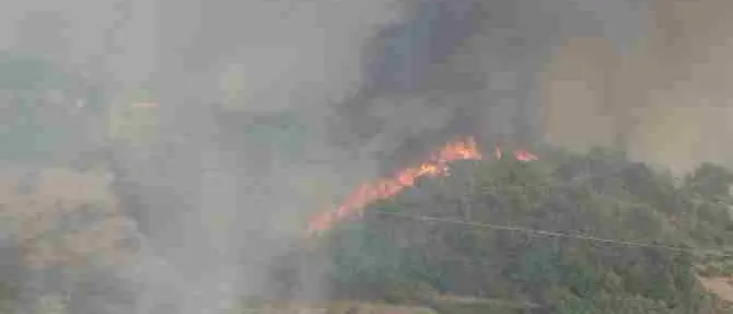 Rose devastata dagli incendi, il sindaco: «C’è una regia criminosa»