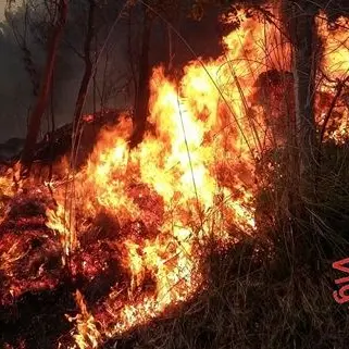 Incendi a Catanzaro, Enzo Bruno: «Situazione drammatica, denunciate!»