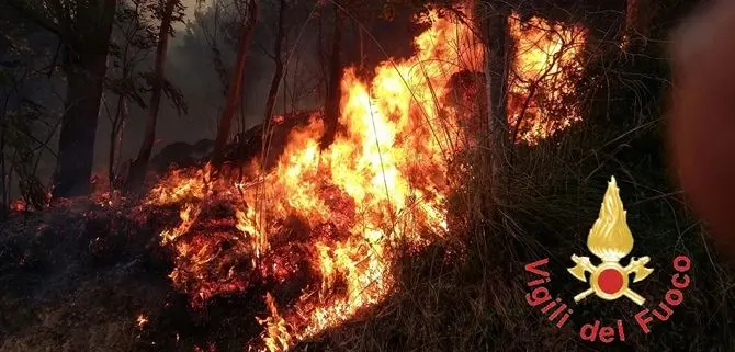 Incendi a Catanzaro, Enzo Bruno: «Situazione drammatica, denunciate!»